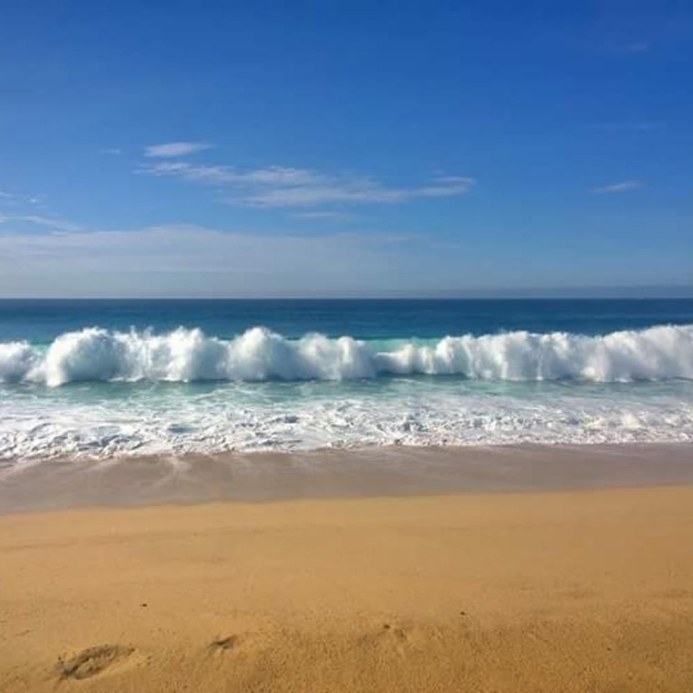 Meet your Posher, Shannon - Picture 7 of 8